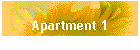 Apartment 1